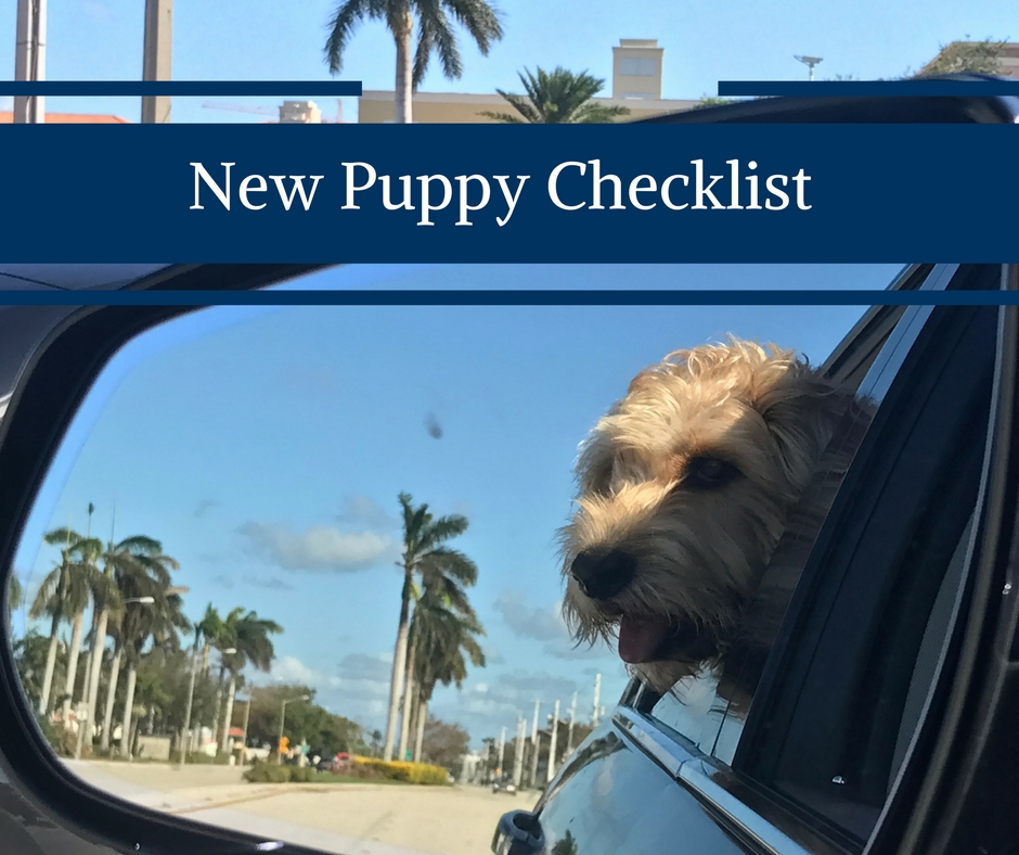 new-puppy-checklist-happy-family-blog