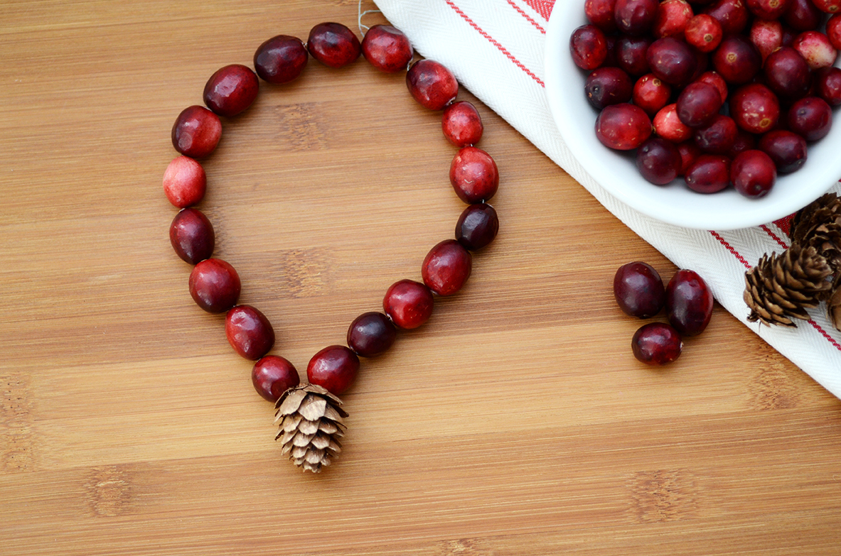 Cranberry Rope Garland » Cranberry Marketing Committee