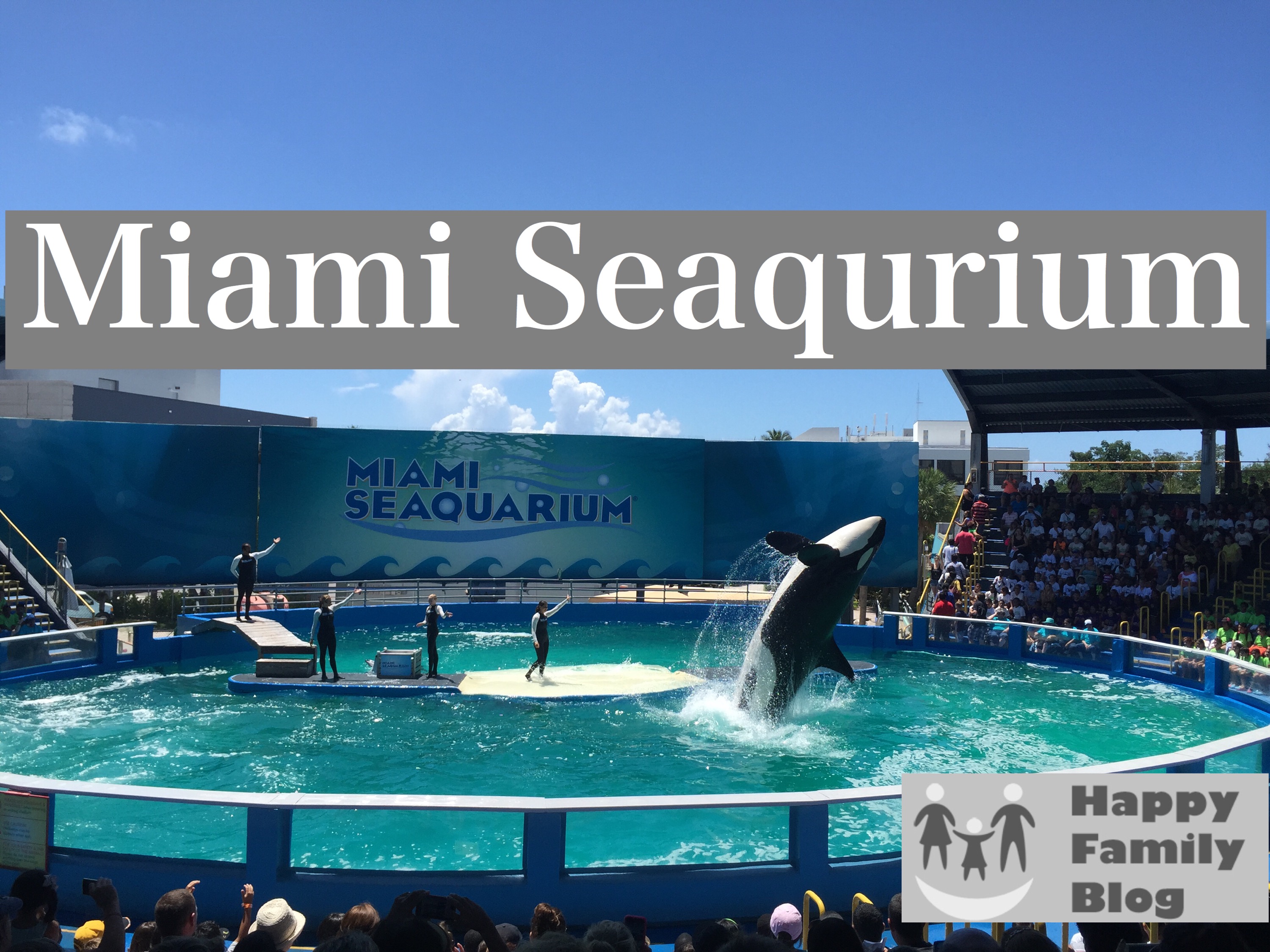 Miami seaquarium, miami seaquarium hours, Miami seaquarium prices, Miami seaquarium tickets, Miami seaquarium coupons
