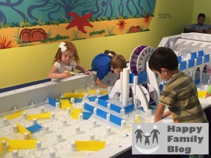 Dinosaurs Around the World at the South Florida Science Center and Aquarium by Happy Family Blog 