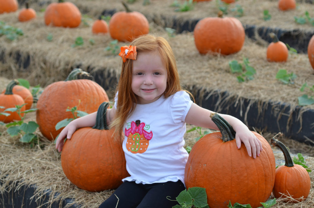 South Florida Fall Pumpkin Patches by Happy Family Blog
