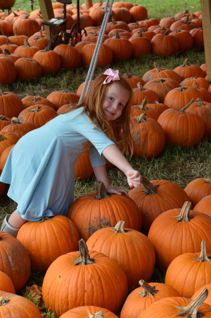 4 Steps for Hosting a Pumpkin Decorating Party by Happy Family Blog