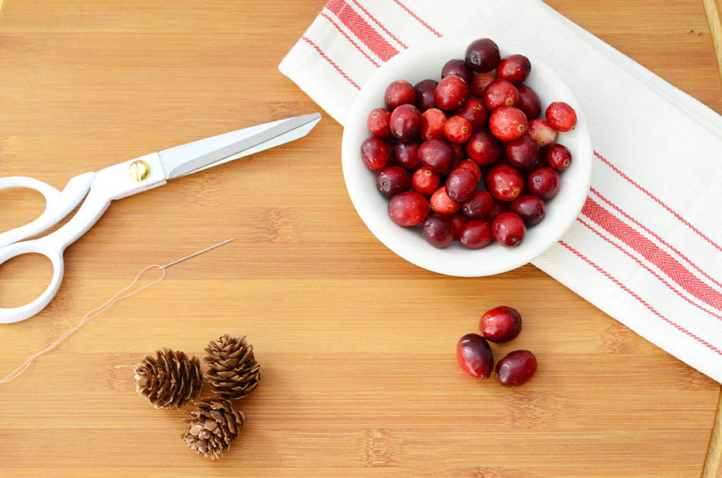 Cranberry Garland and Jewelry by Happy Family Bloga