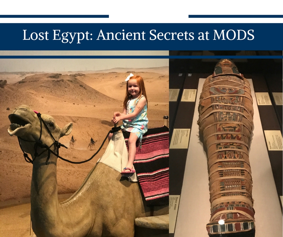 Lost Egypt: Ancient Secrets Exhibit Open at MODS by Happy Family Blog