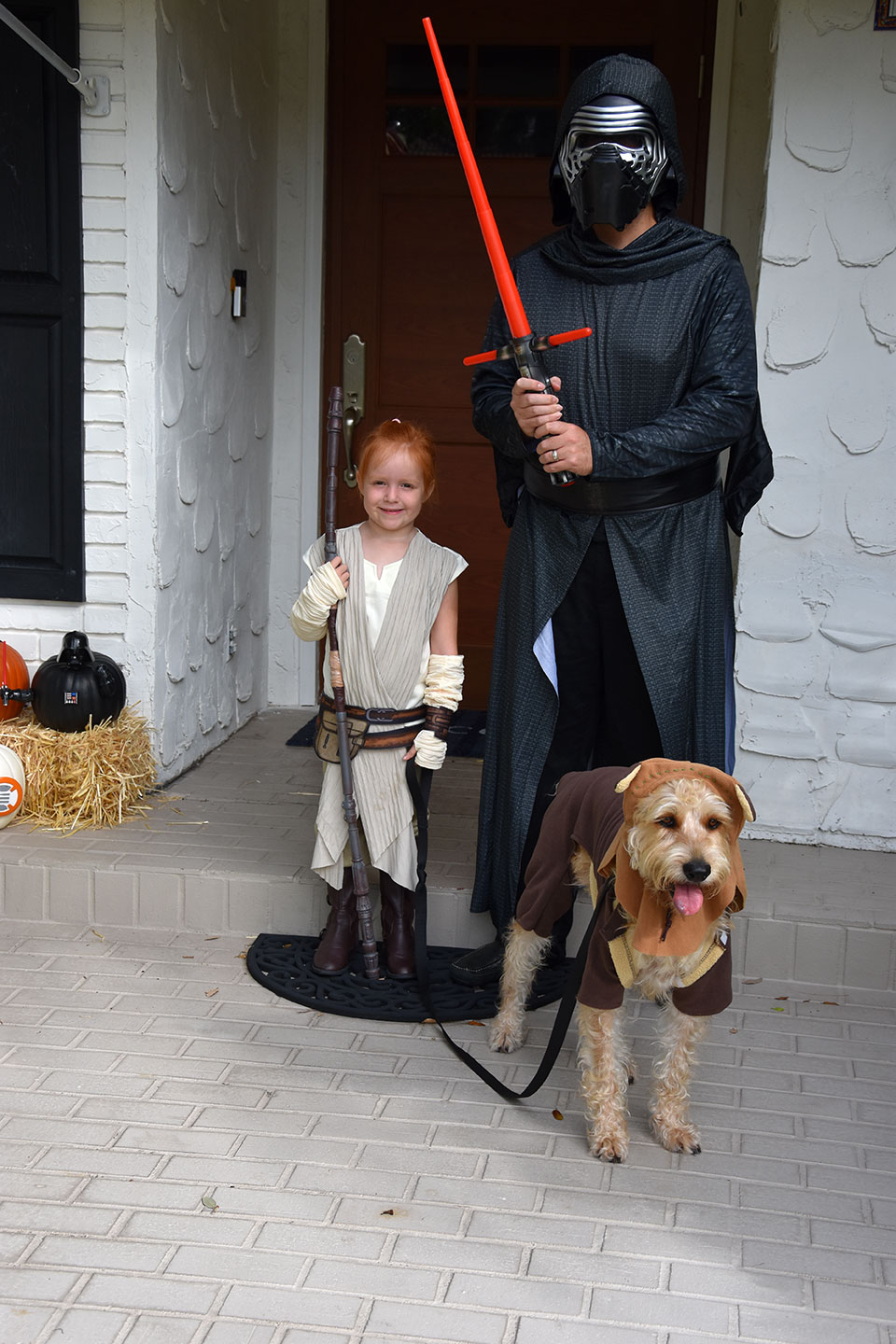 Halloween costumes for families
