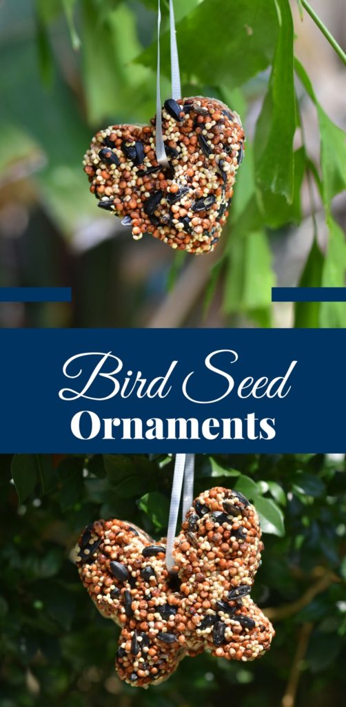 Bird Seed Ornaments 