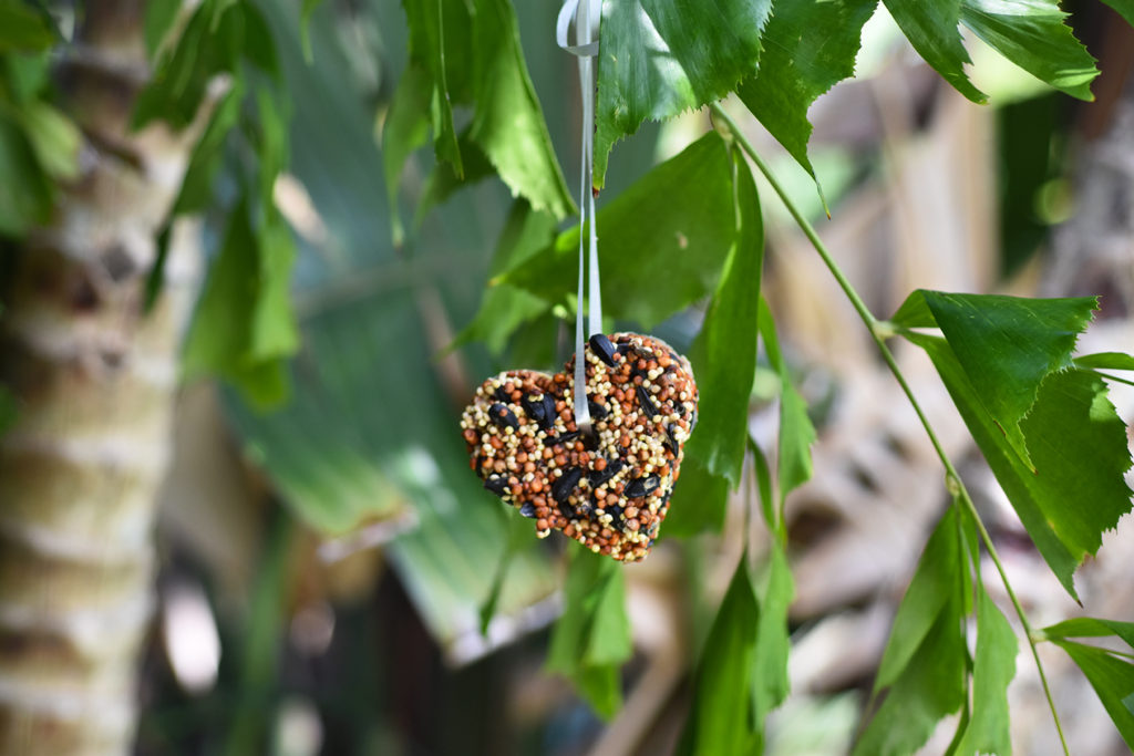 Recipe for Bird Seed Ornaments