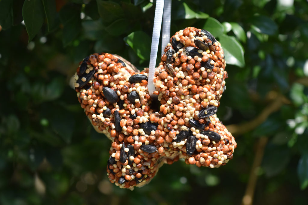 Bird Seed Ornaments with peanut butter