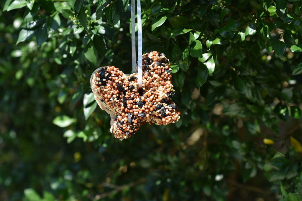 Bird Seed Ornaments with gelatin