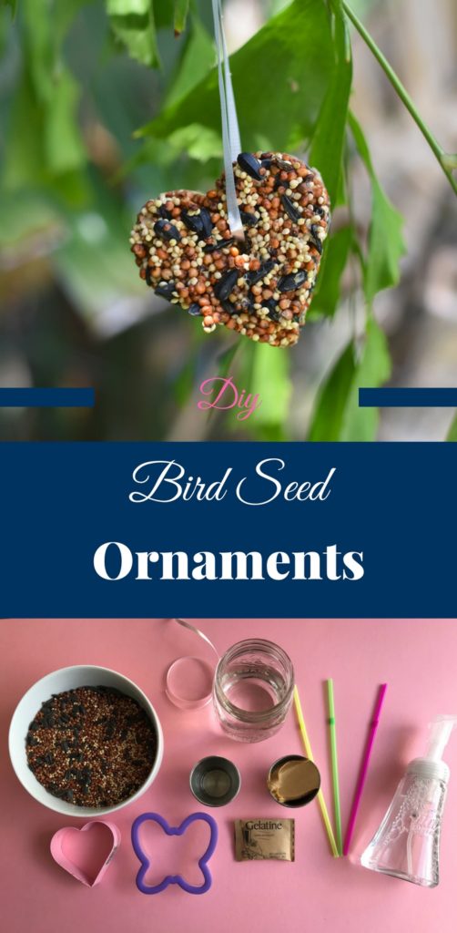 Bird Seed Ornaments