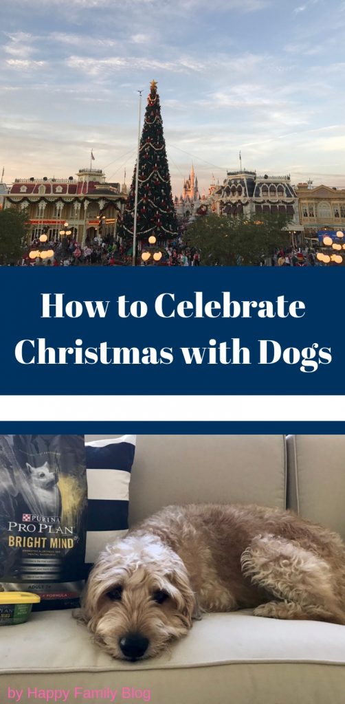 Christmas with Dogs; How to Celebrate by Happy Family Blog