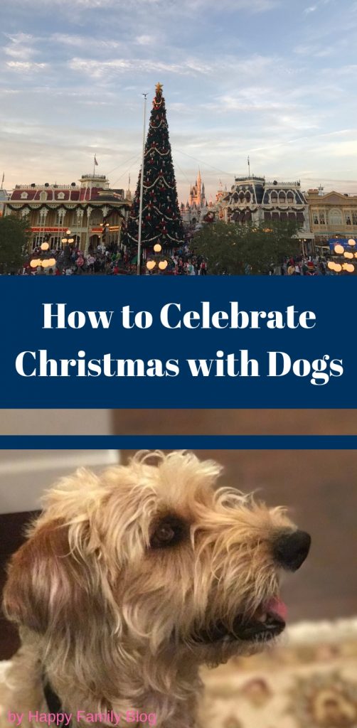 Christmas with Dogs; How to Celebrate by Happy Family Blog