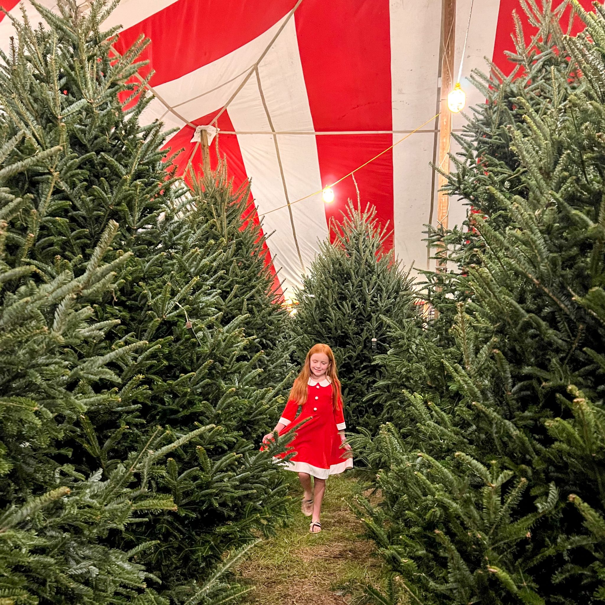 Christmas Events in South Florida • Happy Family Blog