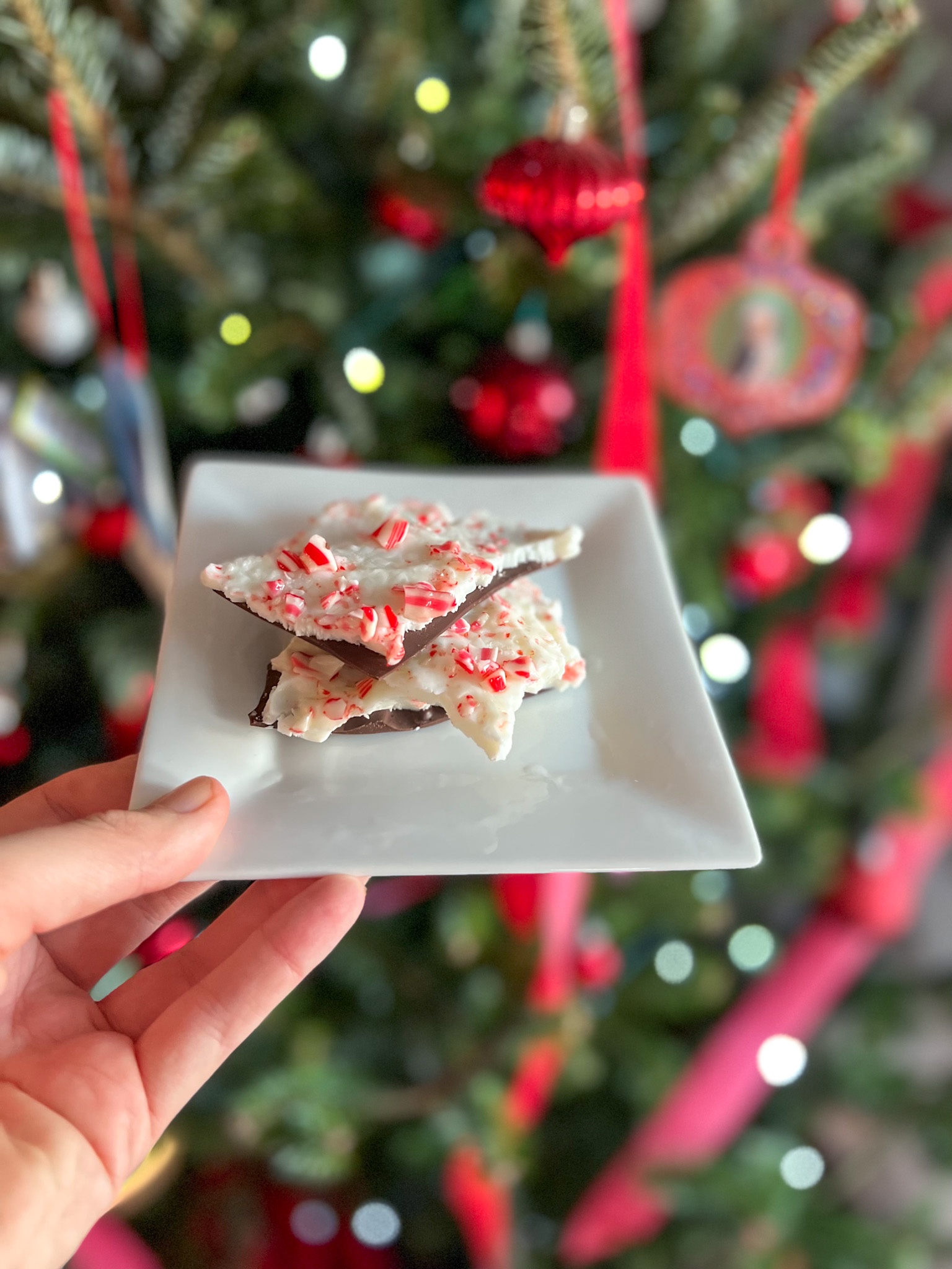 Greek Yogurt Peppermint Bark • Happy Family Blog