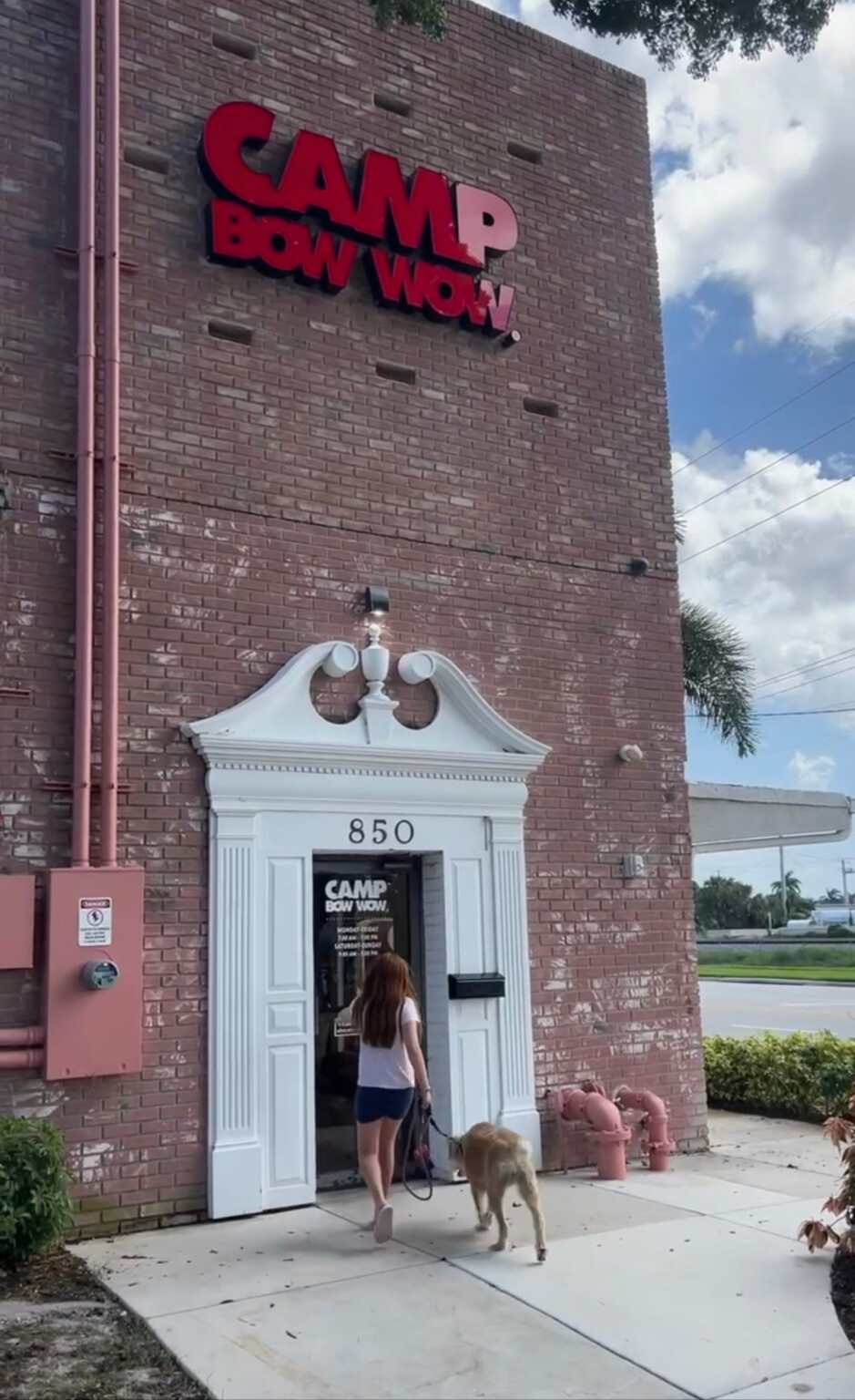 Best Dog Boarding in South Florida • Happy Family Blog