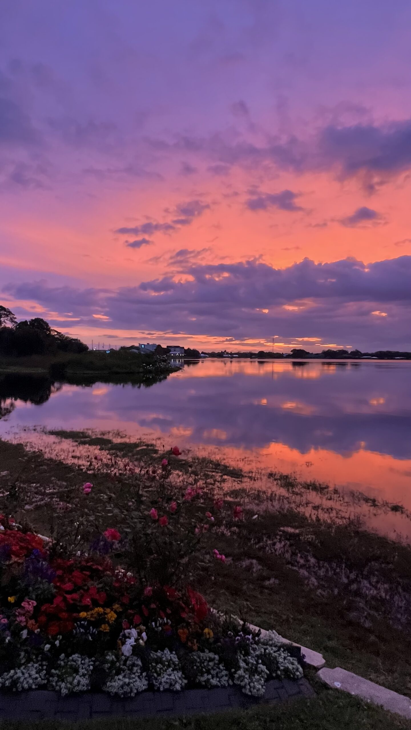 What to Do in Sebring, FL - Happy Family Blog